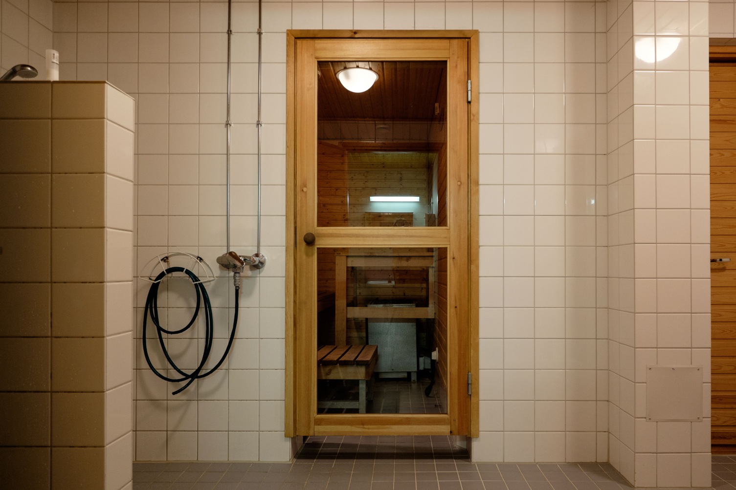 Sauna Door